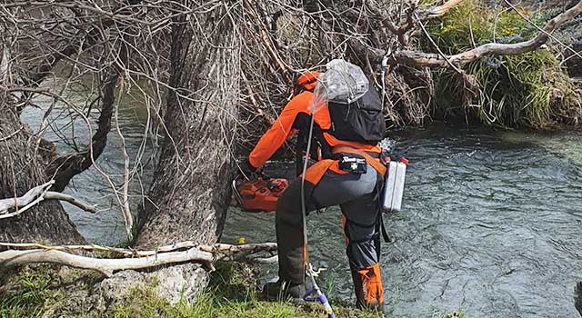 Aoraki Tree and Scrub